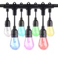 Bulbrite 36 ft. Plug-in Edison Bulb S14 Shatter Resistant LED Smart Black String Light 18 Sockets-Bulbs 814361